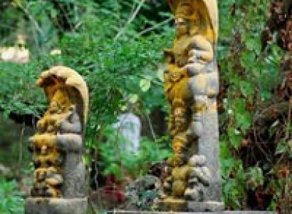 Exclusive Meghalaya Tour 7 Nights 8 Days