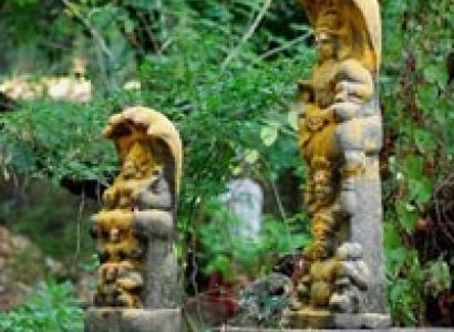 Exclusive Kaziranga Shillong Tour