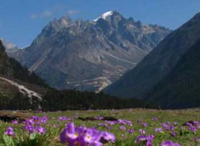 Gangtok Yumthang Tour