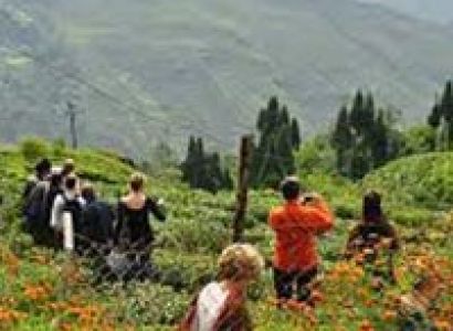 North East Delight with Pelling Tour