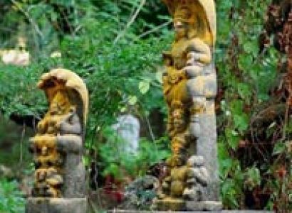 Meghalaya Tour Package