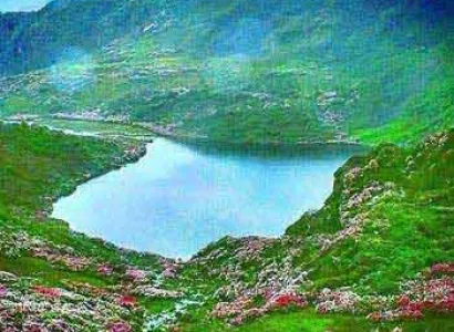 North East Nature Tour