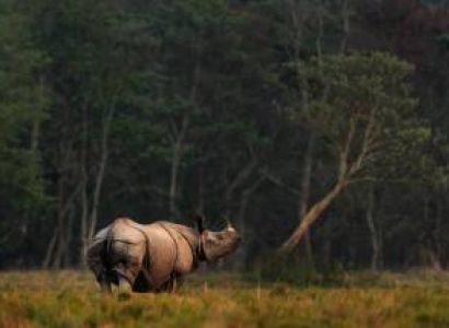 Tawang with Kaziranga Wildlife Tour