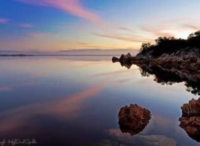 North East Nature Tour