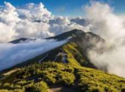 North East Nature Tour