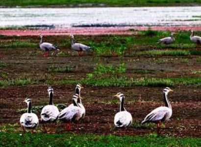 North East Nature Tour