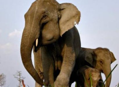 North East Nature Tour