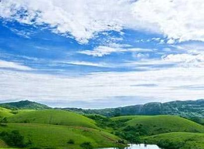 North East Nature Tour