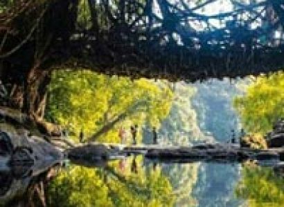 North East Nature Tour