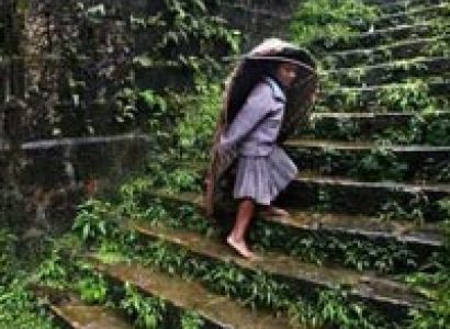 North East Nature Tour