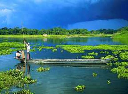 Cherry Blossom Festival Package - Shillong