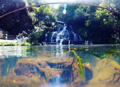 Cherry Blossom Festival Package - Shillong