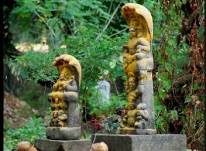 Kamakhya Temple 3 Night 4 Days Tour