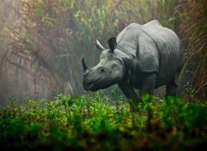 Kamakhya Temple 3 Night 4 Days Tour