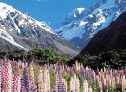 New Zealand South Island Tour