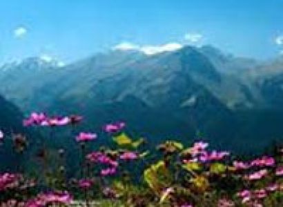 4N/5D – Chandigarh – Shimla – Manali Tour