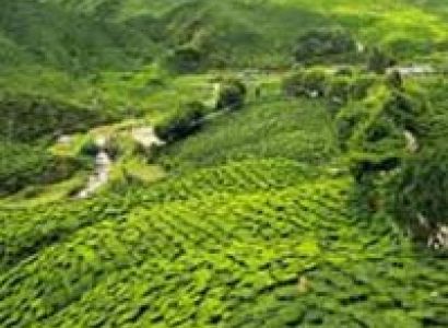 Darjeeling Gangtok Tour