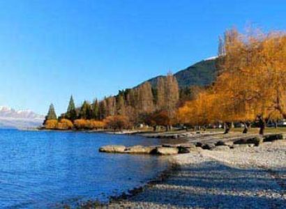 New Zealand Tour