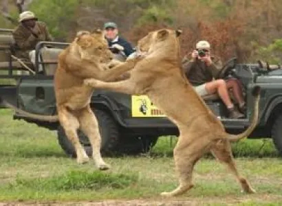 Sasangir - Diu Tour (dwarka)