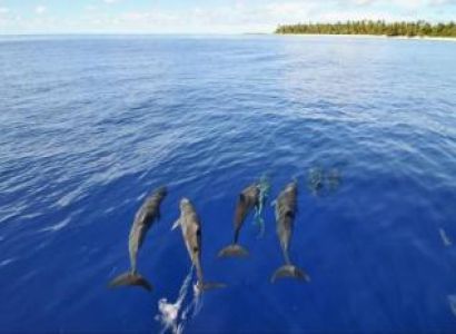 Marshall Islands Tour