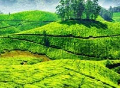 Honey moon plan Tour