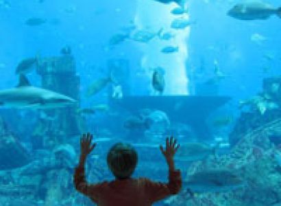 Romantic Dubai Honeymoon Tour Package | 5 Days & 4 Nights