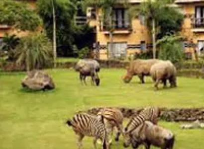 Bangkok Pattaya Special Package