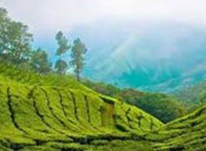Kerala ​​2 Nights 3 Days Tour
