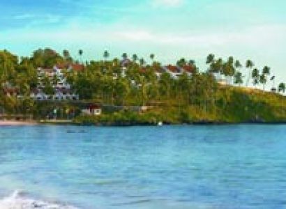 Best of Kerala with Treehouse Stay Tour