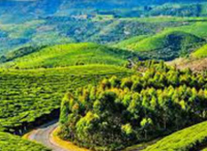 Bandipur and Ooty Tour