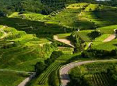 4 Blissful Days in Coorg Tour