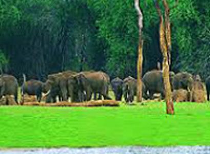 Short Escape to Periyar Tour