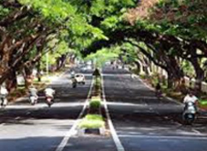 Himachal Honeymoon Package