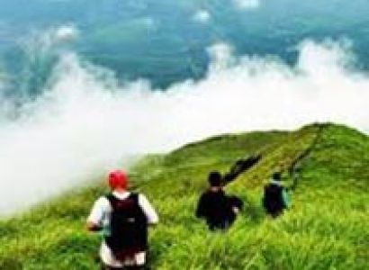 Hill Stations of South India Tour
