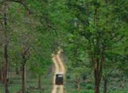 Short Escape to Kabini Tour