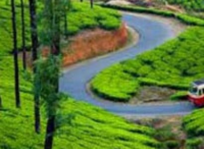 Kerala Munnar Travel Guide Tour