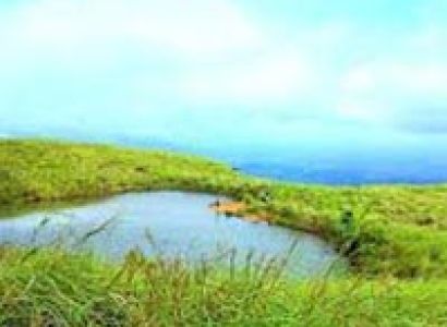 Short Escape to Wayanad Tour