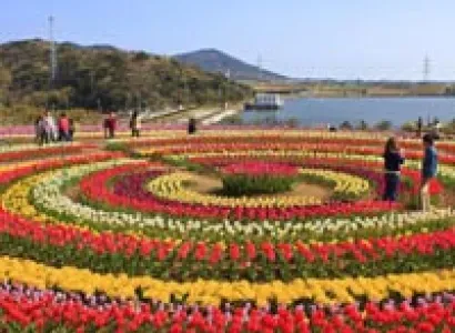 Kashmir - E - Kashmir Tour