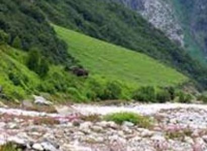 Mussoorie Honeymoon Tour