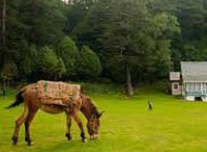 Splendid Dalhousie Khajjiar Tour