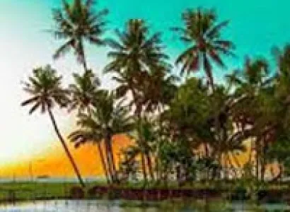 Amazing Tour of Kerala