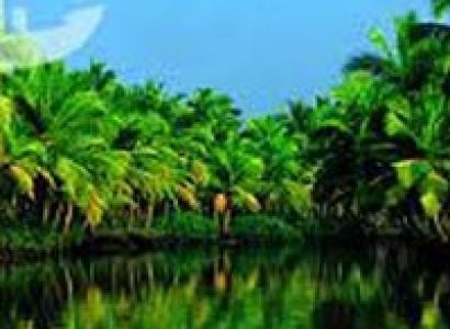 Periyar Tour with Tree house