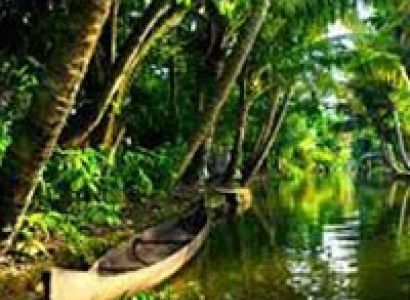 Captivating Kerala Tour