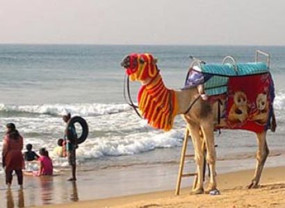 Puri Beach package