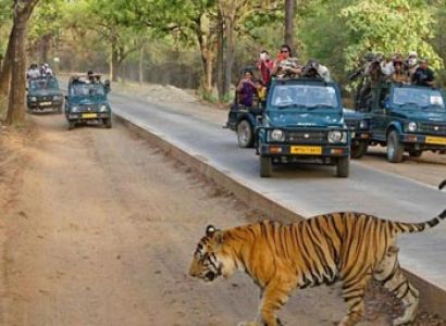 Kanha National Park