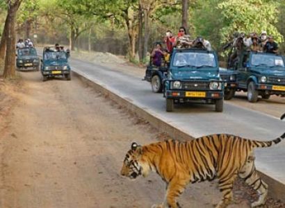 Packages in Jagdalpur