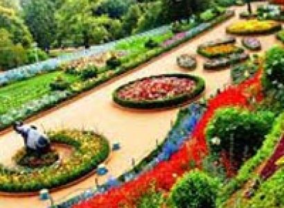 Botanical Garden , Ooty