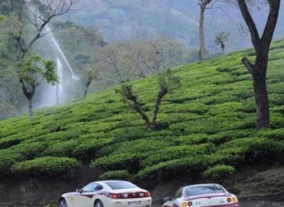 Ooty Tea Factory