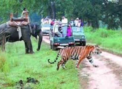 Kanha Tour Operators