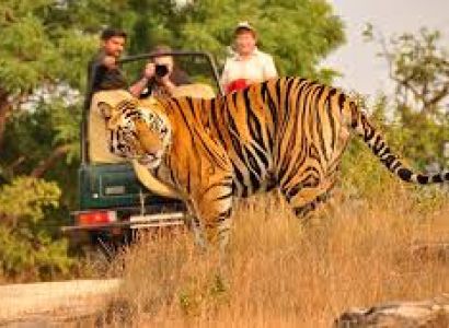Kanha, Bandhavgarh, Jabalpur Tour Package